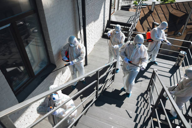 Walled Lake, MI Mold Removal Company