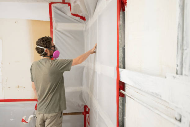 Best Environmental Consulting for Mold Prevention  in Walled Lake, MI