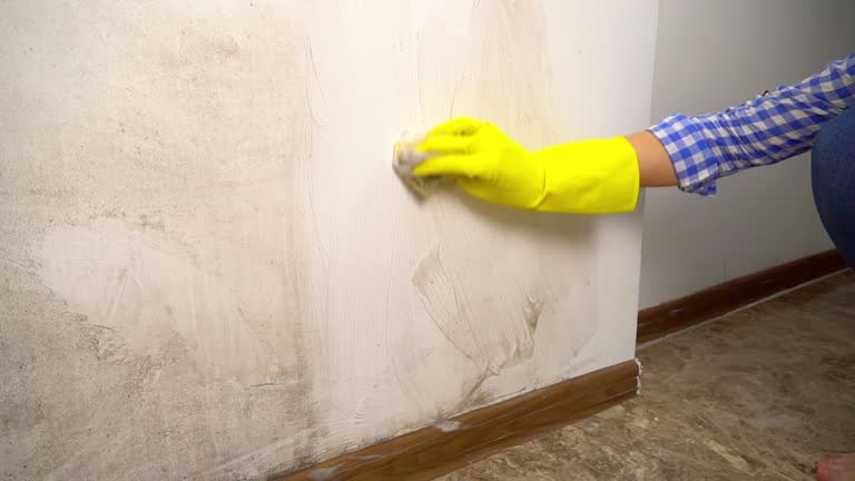 Best HVAC Mold Inspection and Cleaning  in Walled Lake, MI