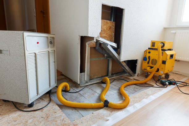 Best Mold Odor Removal Services  in Walled Lake, MI