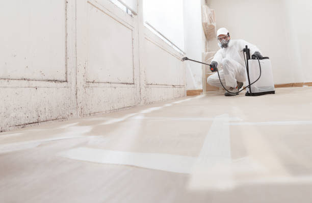 Best Mold Damage Restoration  in Walled Lake, MI